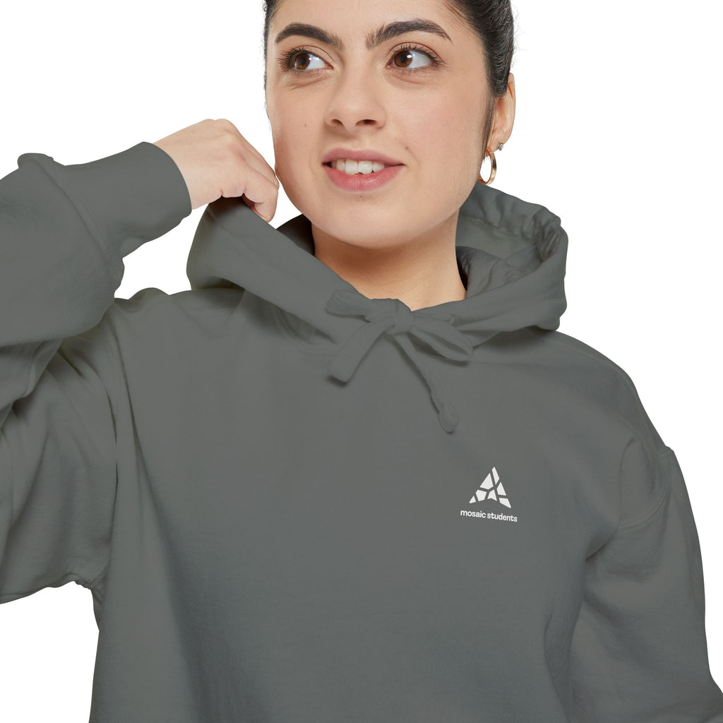 Pursuit Hoodie